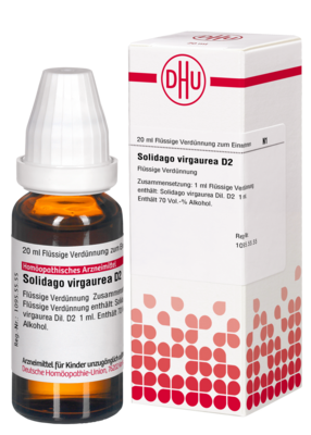 SOLIDAGO VIRGAUREA D 2 Dilution