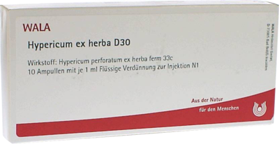 HYPERICUM EX Herba D 30 Ampullen