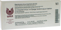 MEMBRANA sinus maxillaris GL D 12 Ampullen