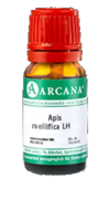 APIS MELLIFICA LM 24 Dilution