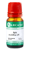 APIS MELLIFICA LM 29 Dilution