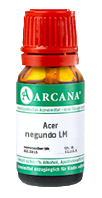 ACER negundo LM 19 Dilution