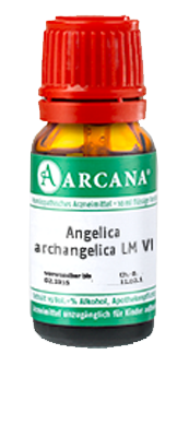 ANGELICA ARCHANGELICA LM 6 Dilution