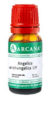 ANGELICA ARCHANGELICA LM 22 Dilution